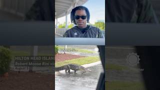 Gators Hit the Road After Hurricane Helene Hits Florida [upl. by Iuq]