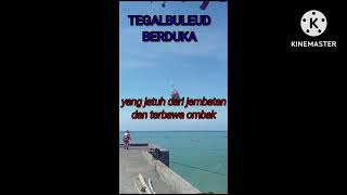 Dermaga Pantai Pasir Putih ambruk diterjang ombakviralvideo dermaga dermagategalbuleud ombak [upl. by Mcknight]