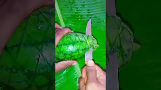 Watermelon 🍉cutting skillsshorts fruit watermelone viralvideo dikfood2774 [upl. by Ahsemit]