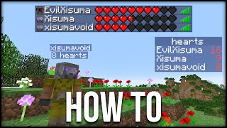 Minecraft How To Display Hearts amp Other Statistics Tutorial [upl. by Aknahs]