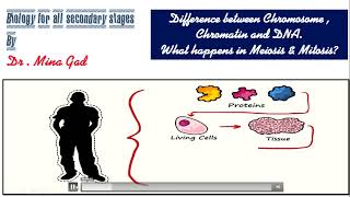 Difference between chromatin  chromosome and chromatid حصة تأسيسية هامة جدا  الجزء الاول [upl. by Velvet]