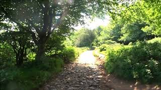 A Triscombe Stone Circular Walk Part I On Route to Lydeard Hill by Sheila June 12th 2018 [upl. by Zicarelli352]