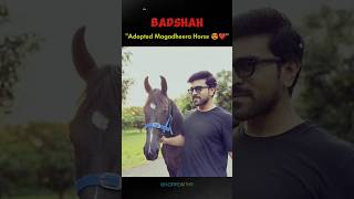 Ram Charan Adopted Horse 😍❤️ [upl. by Suiramad583]