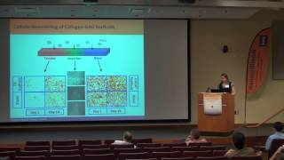 Integrating Mechanical Cues and Biomolecular Patterns for TendonBone Junction Repair [upl. by Hepsibah]