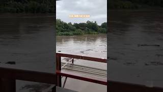 GUANACASTE UNDER WATER Tempisque River Floods Its Banks costarica floods [upl. by Agosto]