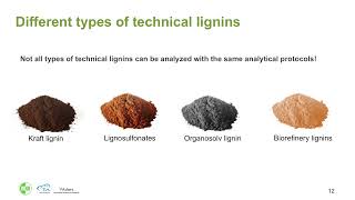 Renewable resources the future role of lignins [upl. by Boswall563]