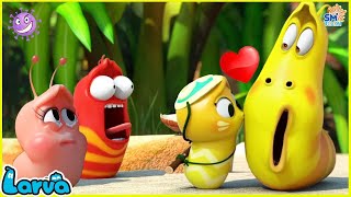 LARVA SEASON 3 EPISODE 480  583 🍟 NEST VERSION LARVA  COMICS  MINI SERIES FROM ANIMATION LARVA [upl. by Tobye]