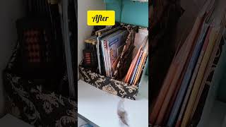 Diy Book organiser trendingtechknowtipsahorts trending bookshelf diy [upl. by Nahej]