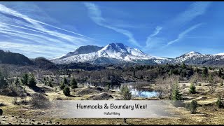 Hiking Hummocks to Boundary West to Johnston Ridge Observatory MSH [upl. by Eldridge]