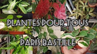 118 Plantes pour tous  Paris Bastille le 19 mai 2024 [upl. by Murrah229]