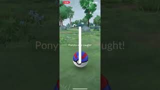 Ponyta Outbreaks Lets shiny hunt ✨pokemongoshinys pokemongo pokemon [upl. by Azrim]