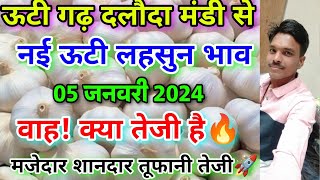 दलौदा मंडी आज का नई ऊटी लहसुन भाव 05 जनवरी 2024 new ooty garlic rate daloda nai lahsun bhav daloda [upl. by Sesom]