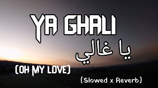 Ya Ghali  Lofi Version  Latest Arabic Song  LofiMixO Slowed x Reverb  Rola Kadri [upl. by Ajroj406]