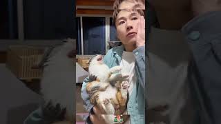 Kiss your cat to see his reaction funny funnyanimal funnycat pets funnypet funnyvideo [upl. by Brady]