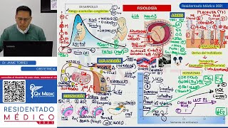 REPASO I  OBSTETRICIA [upl. by Arihas]