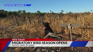 Dove snipe hunting season begins Sunday in Missouri [upl. by Kanya]