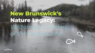 Nature Legacy  Wilderness Corridors of the Restigouche [upl. by Dielu]