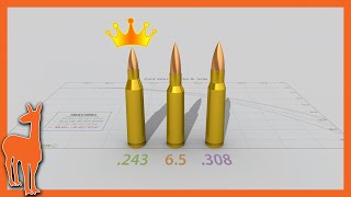 Why 243 Winchester is still my favorite cartridge  243 Win vs 6mm Creedmoor 65 Creedmoor 308 Win [upl. by Aleras561]