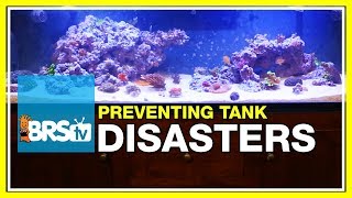 Week 50 BRS160 disaster averted Fixing catastrophes in the reef tank  52 Weeks of Reefing [upl. by Paucker]