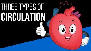 Three types of circulation in the body [upl. by Coray]