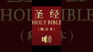 Chinese bible [upl. by Finzer706]