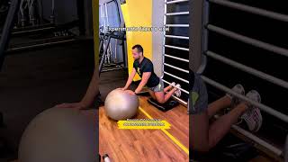 Flexão nórdica adaptada com bola de pilates suíça [upl. by Bunce234]