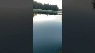 Fishing at Dusk Estacada Lake fishing ￼oregon nature [upl. by Suertemed]