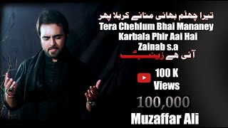 Muzaffar Ali Noha 2017 Tera Cehlum Bahi Mananey Karbala Phir Aai Hey Zainab sa Track 2 [upl. by Tempest28]