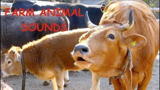 Animal Sounds For Children To Learn  BEST [upl. by Adela929]