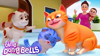 म्याऊं म्याऊं बिल्ली करती  Meow Meow Billi Karti v2  Hindi Rhymes for Children  Ding Dong Bells [upl. by Kant]