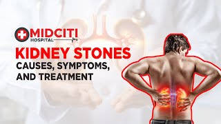 Kidney Stones Causes Symptoms and Treatment [upl. by Heeley]