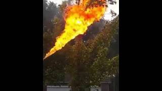 Man made Flamethrower vs Hornets Nest [upl. by Lamee466]