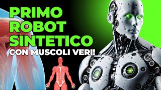 Primo Robot Umanoide Sintetico Con Muscoli Veri Androide Torso [upl. by Llirret]