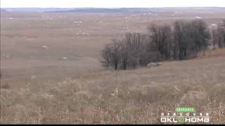 Joseph H Williams Tallgrass Prairie Preserve [upl. by Nnylcaj761]