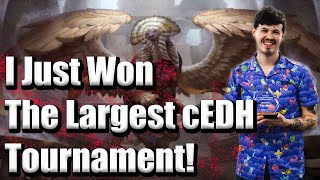 The Boil Top 16 breakdown  Breaking Down the Largest NA cEDH Tournament Ever [upl. by Blood]