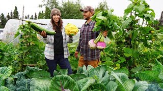 Harvesting Huge Vegetables from Our Summer Garden [upl. by Sahcnip781]