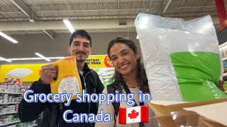 Grocery shopping in Canada 🇨🇦 Week 3My travel story [upl. by Lewak]