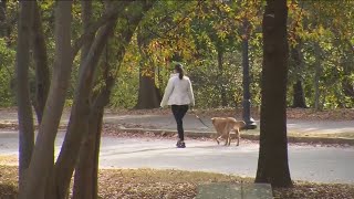 Urbandale city council approves first reading of new leash ordinance [upl. by Rehpotsirhk]