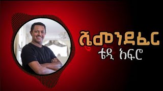 ሼመንደፈርክቡር ዶክተር ቴዎድሮስ ካሳሁን ሼመንደፈር የዘፈን ግጥምTeddy Afroshemendeferlyrics video [upl. by Nodle935]