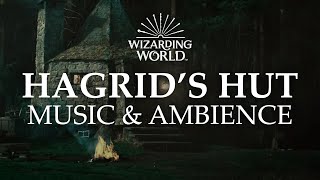 Hagrids Hut  Harry Potter Music amp Ambience  Rain and Night Sounds Near the Forbidden Forest [upl. by Nnylyrehc]