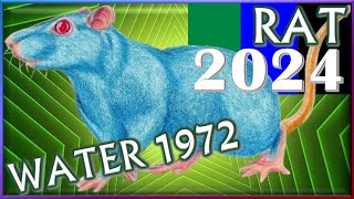 Rat Horoscope 2024 ❤ Water Rat 1972  February 15 1972 to February 2 1973 [upl. by Sasnak]