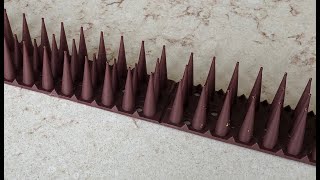 Let’s see if spikes all around the vent will deter a racoon from attacking the roof vent [upl. by Sontag]