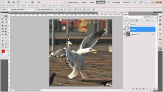 Der ComposingWorkflow  Das PhotoshopTraining Faszinierende Composings [upl. by Acinemod]