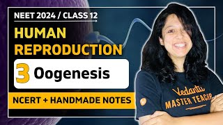 Oogenesis  Human Reproduction  CBSE Class 12 Biology🎯  Vani Maam  VEER NEET Batch 2024👩🏻‍⚕️ [upl. by Coniah]