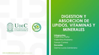 DIGESTIÓN Y ABSORCIÓN DE LÍPIDOS VITAMINAS Y MINERALES EN BOVINOS [upl. by Charpentier]