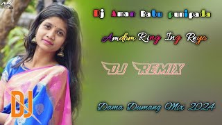 Amdom Ring Ing Reyo ll New Ho Munda Song ll New Ho Munda Dj Song ll Dj Aman Babu punipada ll [upl. by Nwad498]