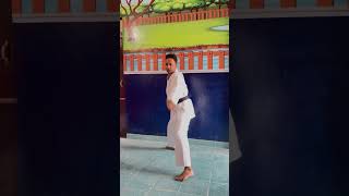 Goju Ryu karate kokutsu dachi barai uke chudan zukimartialartsviralvideos shortsvideo karate [upl. by Orpha]