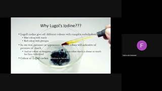 5 Activity of Salivary Amylase 20 04 2021 2 [upl. by Acira]