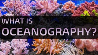 What is Oceanography ※ What do Oceanographers do [upl. by Greysun]