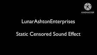 Static Censored Sound Effect [upl. by Heins]